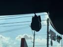 純正フルセグナビ　ＥＴＣ　ドラレコ　バックモニター（福岡県）の中古車
