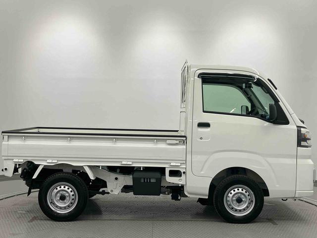 ハイゼットトラックスタンダード　農用スペシャルＬＥＤヘッド　定期点検記録簿　センターデフロック　禁煙車　エアバッグ　ブレーキサポート　４ＷＤ　盗難防止装置　パワーステアリング　車線逸脱警報装置　エアコン　アイドリングストップ　横滑り防止　ＡＢＳ（大分県）の中古車
