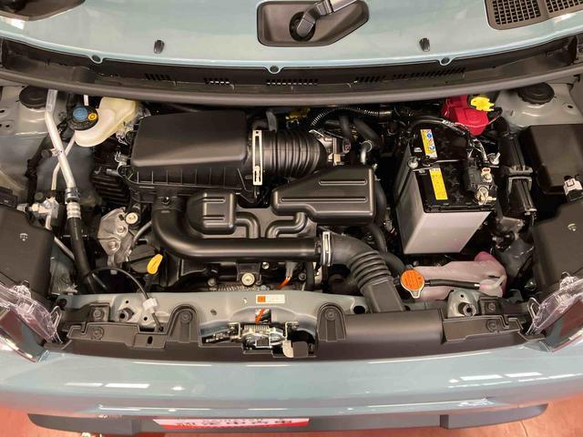 タフトＧ届出済未使用車　元展示車　ディスプレイオーディオ　ＬＥＤヘッドランプ　踏み間違え防止　バックカメラ　ＵＳＢ　アイドリングストップ　シートヒーター　ＴＶ　スマートキー　電動格納ミラー　サンルーフ　禁煙（長崎県）の中古車