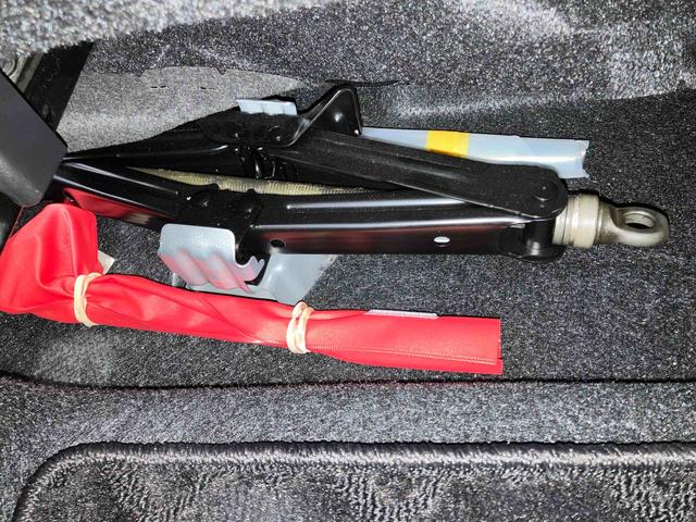 ロッキーＧ下取車　パノラマモニター　ナビ　アダプティブクルーズコントロール　車線逸脱警告　電動格納ミラー　ブルートゥース　ＥＴＣ　オートライト　誤発進抑制機能　タ−ボ　オートマチックハイビーム　ドラレコ（長崎県）の中古車