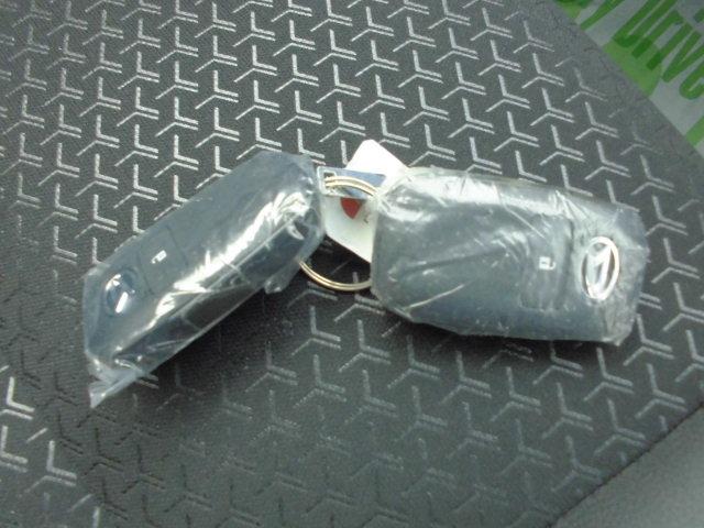 ロッキープレミアムＧ（福岡県）の中古車