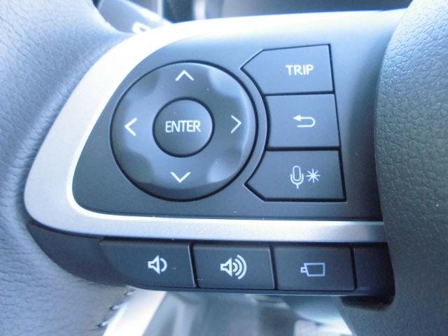 ロッキープレミアムG(福岡県)の中古車