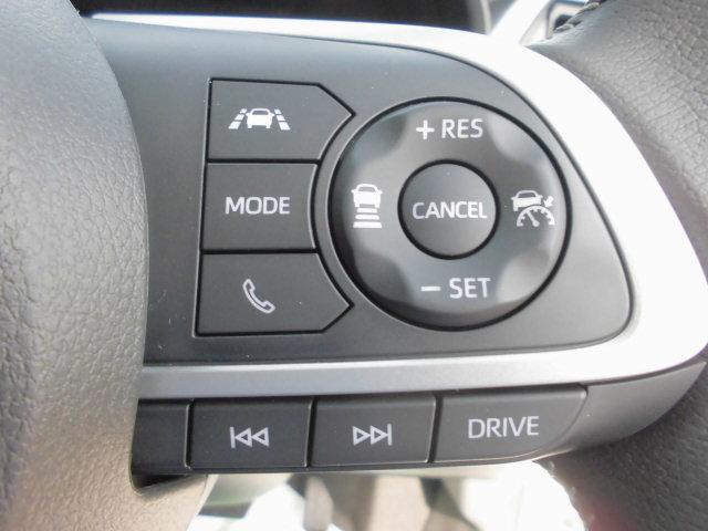 ロッキープレミアムG(福岡県)の中古車