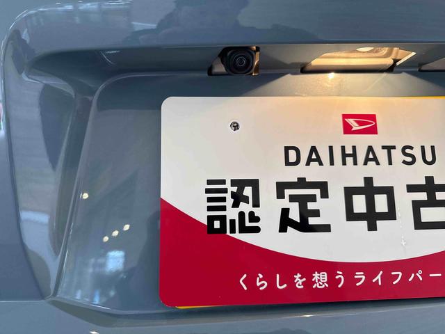 タフトＧインパネシフト　プッシュスタートスイッチ　電子カードキー　電動パーキングブレーキ　スタイリッシュガラスルーフ　レーンキープアシスト　オートマチックハイビーム　アルミホイール　ＡＢＳ　衝突被害軽減Ｂ（鹿児島県）の中古車