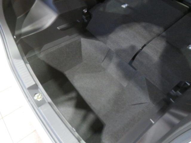 ロッキープレミアム(宮崎県)の中古車