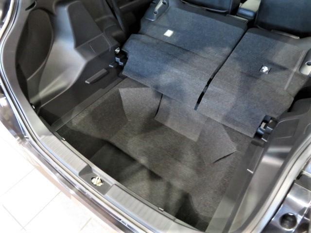 ロッキープレミアム（宮崎県）の中古車