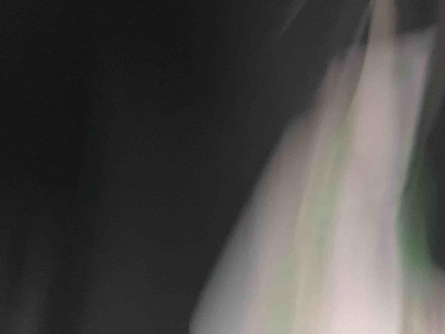 タントファンクロス（福島県）の中古車