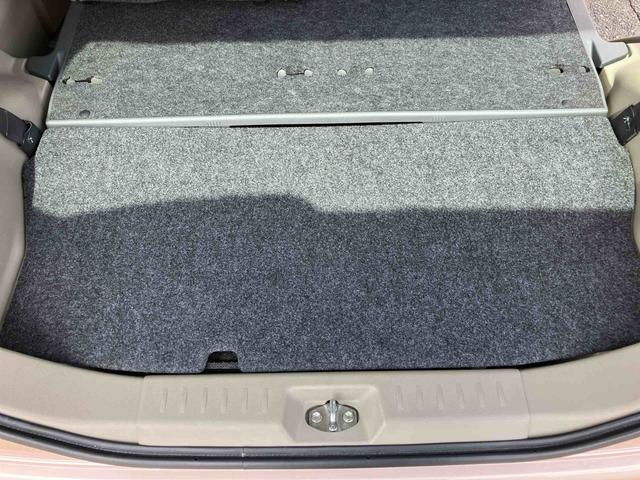 タントＸリミテッド（福島県）の中古車