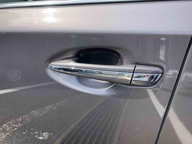 SAIS Cパッケージ(福島県)の中古車