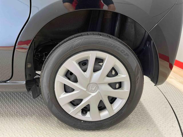 Ｎ−ＢＯＸＬ（宮城県）の中古車