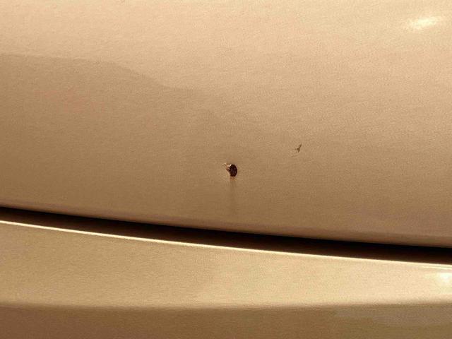 スペーシアＸ（福島県）の中古車