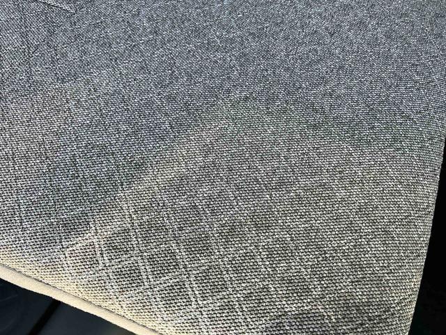 タントスローパーＸ（福島県）の中古車