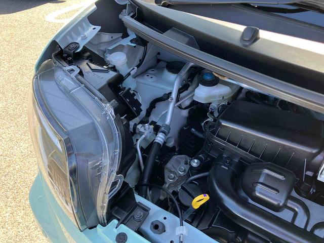 タントスローパーＸ（福島県）の中古車