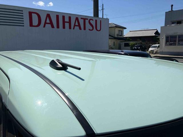 タントスローパーＸ（福島県）の中古車