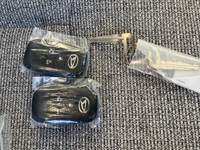 ムーヴキャンバスストライプスＸ　届出済未使用車２ＷＤ　ＣＶＴ　６６０ｃｃ　ディスプレイオーディオ　両側電動スライドドア　衝突被害軽減ブレーキ　横滑り防止装置　ＡＢＳ　サイドエアバッグ　アイドリングストップ　プッシュボタンスタート（福島県）の中古車