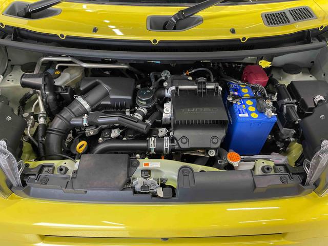 タフトＧターボ　クロムベンチャー（宮城県）の中古車