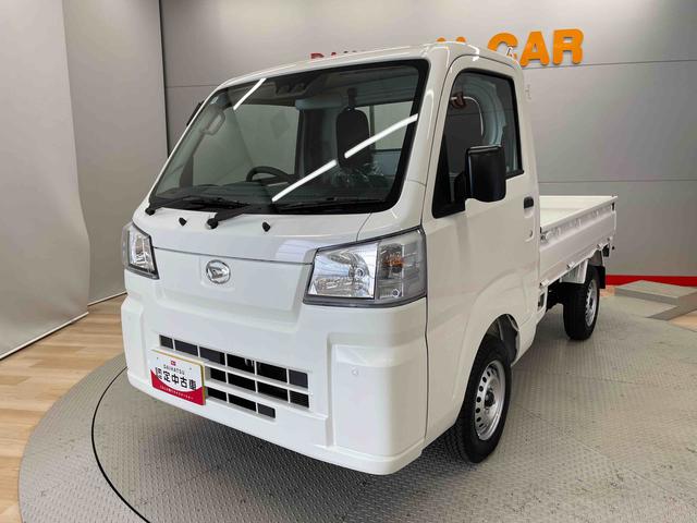 ハイゼットトラックスタンダード（宮城県）の中古車