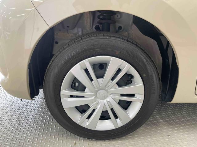 ブーンＸ　ＳＡIII（宮城県）の中古車