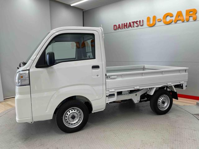 ハイゼットトラックスタンダード（宮城県）の中古車