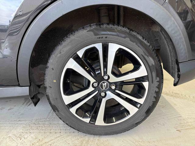 ロッキーＧ純正ナビ　クルーズコントロール　ＬＥＤヘッドライト／フォグランプ　オートエアコン／ライト／ハイビーム／電動格納ドアミラー　ＥＴＣ　ドライブレコーダー　バックフォグランプ　フロントシールドディアイサー（秋田県）の中古車