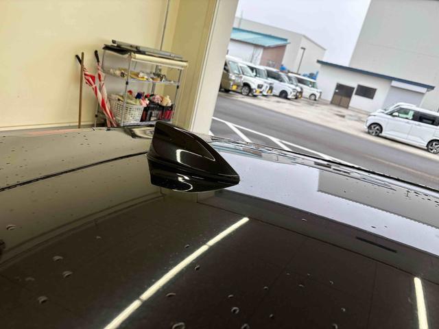 ロッキーＧ純正ナビ　クルーズコントロール　ＬＥＤヘッドライト／フォグランプ　オートエアコン／ライト／ハイビーム／電動格納ドアミラー　ＥＴＣ　ドライブレコーダー　バックフォグランプ　フロントシールドディアイサー（秋田県）の中古車