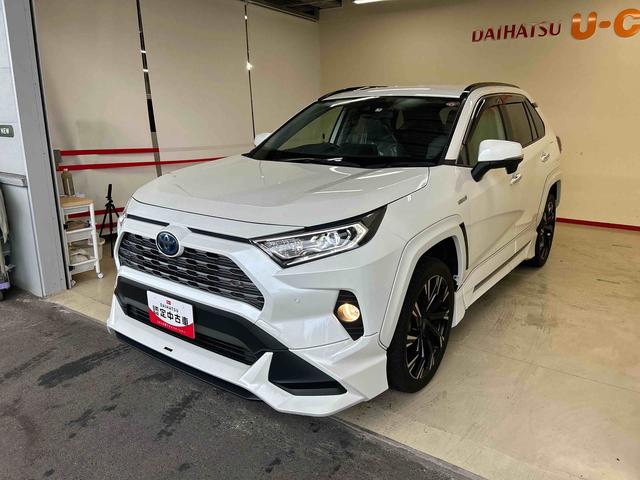 ＲＡＶ４ハイブリッドＧ４ＷＤ　衝突被害軽減ブレーキシステム　ナビ　バックカメラ　ＥＴＣ　キーフリー　ＬＥＤヘッドランプ　ハロゲンフォグランプ　オートライト／エアコン　クルーズコントロール　ブラインドスポットモニター（秋田県）の中古車