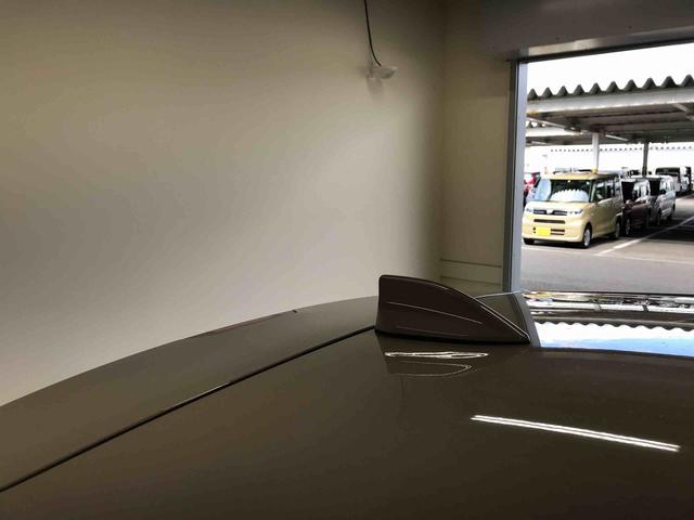 ロッキープレミアムＧ　ＨＥＶオートエアコン／ライト　ＬＥＤヘッドライト／フォグランプ　クルーズコントロール　チルトステアリング　運転席シートリフター　リヤフォグランプ　運転席・助手席シートヒーター　アップグレードパック２（秋田県）の中古車