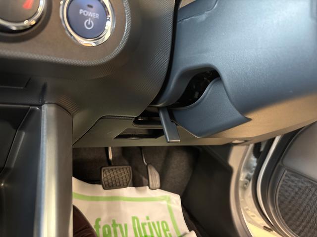 ロッキープレミアムＧ　ＨＥＶＬＥＤヘッドライト／ＬＥＤフォグランプ　クルーズコントオール　オート電動格納ドアミラー　電動パーキングブレーキ　運転席・助手席シートヒーター　リヤフォグランプ　サイドエアバック（秋田県）の中古車