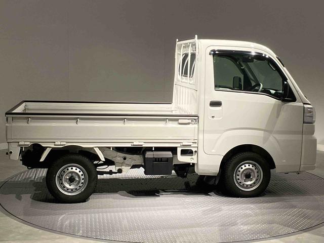 ハイゼットトラックスタンダード　農用スペシャル（岩手県）の中古車