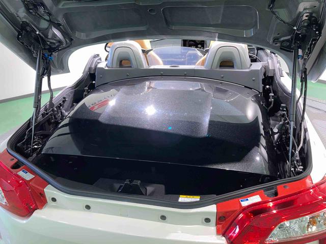 コペンローブ（青森県）の中古車