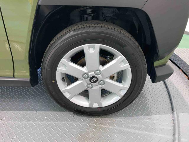 タフトＧターボ　クロムベンチャー（青森県）の中古車