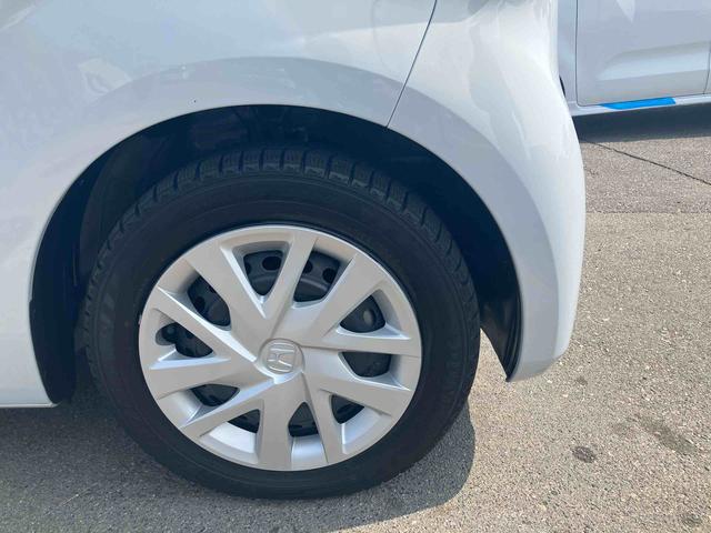 Ｎ−ＢＯＸＬ（福島県）の中古車