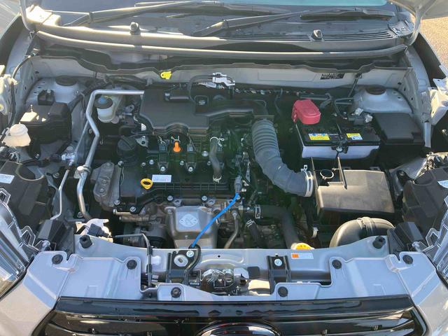 ロッキープレミアムG(福島県)の中古車