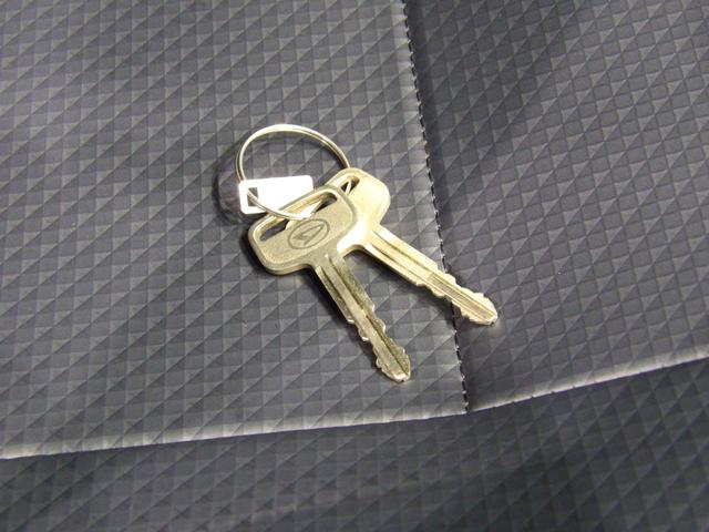 ハイゼットカーゴスペシャル（岩手県）の中古車