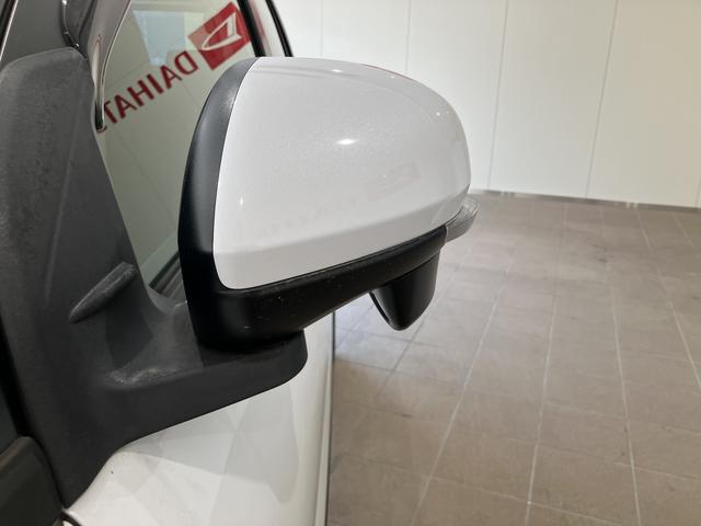 ロッキープレミアム（山口県）の中古車