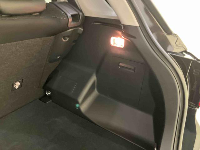 ロッキープレミアムＧ　ＨＥＶＡＨＢ　誤発進抑制　アラウンドビューモニター　ＬＥＤヘッドランプ　アダプティブクルーズコントロール　電動格納式ドアミラー　アルミホイール　アイドリングストップ　レーンキープアシスト　シートヒーター（山口県）の中古車