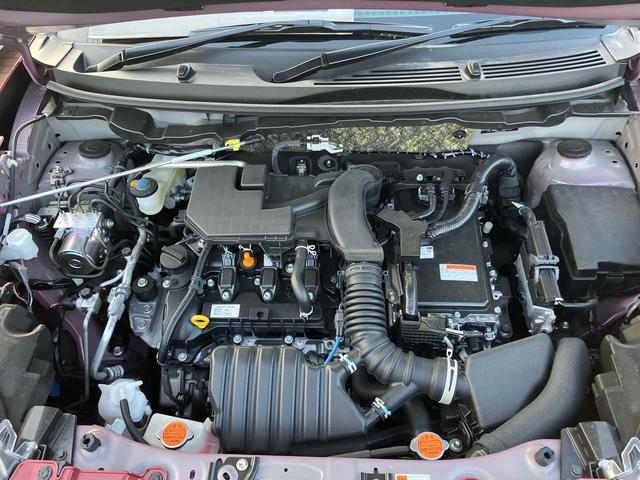 ロッキープレミアムＧ　ＨＥＶ（山口県）の中古車