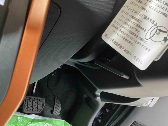 タフトＧインパネシフト　プッシュスタートスイッチ　電子カードキー　電動パーキングブレーキ　ガラスルーフ（ムーンルーフ）　オートマチックハイビーム　踏み間違い防止アシスト　車線逸脱防止　ＡＢＳ　アルミホイール（鹿児島県）の中古車