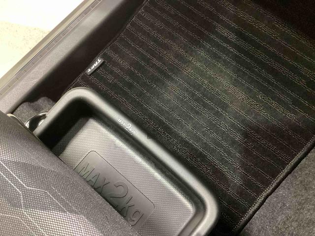 タフトＧインパネシフト　プッシュスタートスイッチ　電子カードキー　電動パーキングブレーキ　ガラスルーフ（ムーンルーフ）　オートマチックハイビーム　踏み間違い防止アシスト　車線逸脱防止　ＡＢＳ　アルミホイール（鹿児島県）の中古車