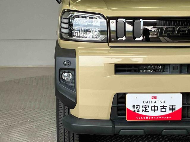 タフトＧスマートアシスト搭載（熊本県）の中古車