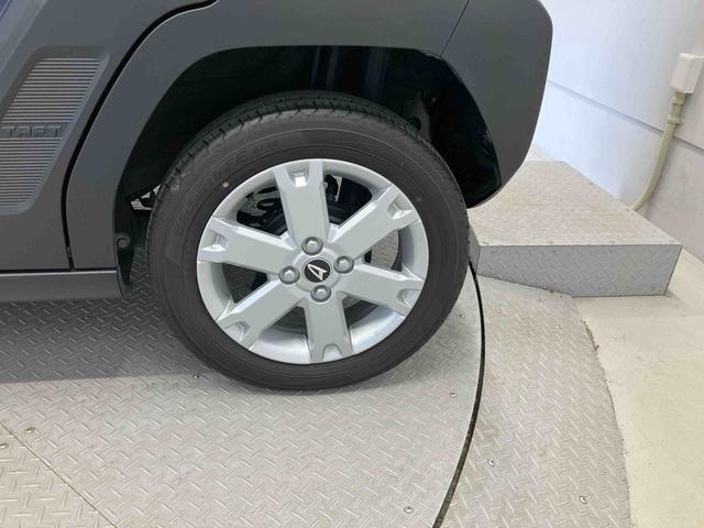 タフトＧ（熊本県）の中古車