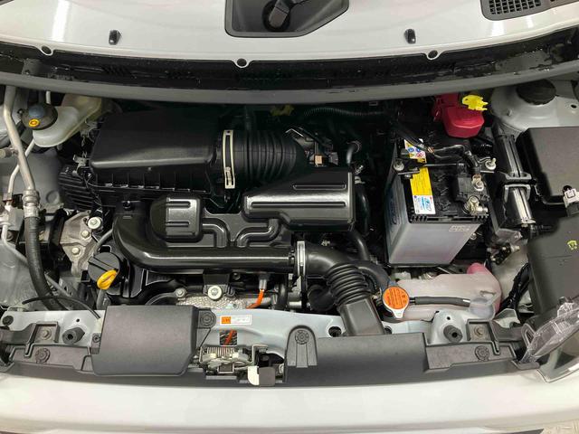 タフトＧ　クロムベンチャー（熊本県）の中古車