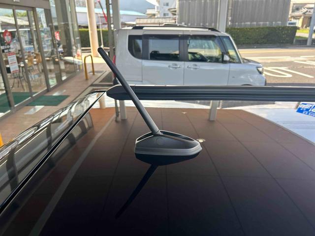 タフトＧインパネシフト　プッシュスタートスイッチ　電子カードキー　電動パーキングブレーキ　シートヒーター　オートマチックハイビーム　ムーンルーフ　車線逸脱防止　ＡＢＳ　アルミホイール（鹿児島県）の中古車