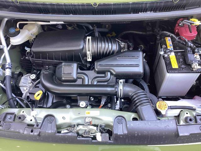 タフトＧ衝突回避　車線逸脱防止　オートマチックハイビーム　キーフリーシステム　アルミホイール　スタイリッシュガラスルーフ　ＡＢＳ（鹿児島県）の中古車