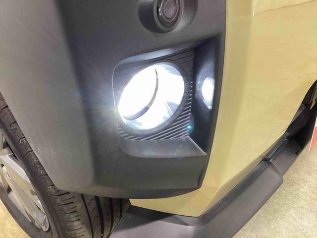 タフトＧターボターボ車　インパネシフト　プッシュスタートスイッチ　電子カードキー　電動パーキングブレーキ　アルミホイール　ＡＢＳ　オートハイビーム　誤発進抑制装置　ガラスルーフ（鹿児島県）の中古車