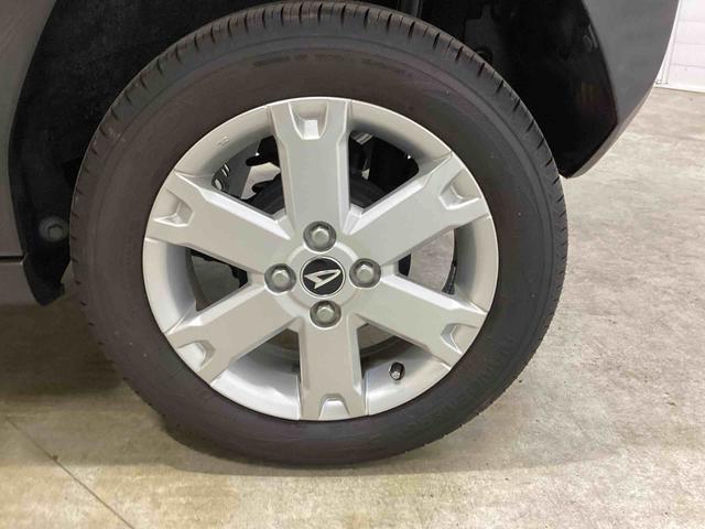 タフトＧインパネシフト　プッシュスタートスイッチ　電子カードキー　電動パーキングブレーキ　カーナビ　バックモニター　衝突回避システム　オートマチックハイビーム　レーンキープアシスト　ガラスルーフ　ＡＢＳ（鹿児島県）の中古車