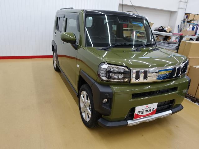 タフトＧターボ　クロムベンチャー（石川県）の中古車