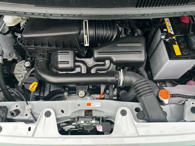 タントX(石川県)の中古車