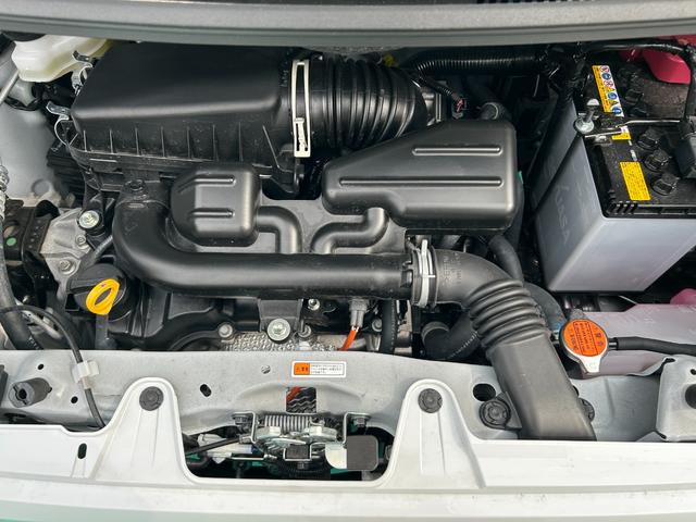 タントＸ（石川県）の中古車