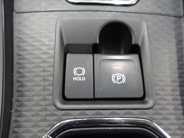 ロッキープレミアムG(石川県)の中古車